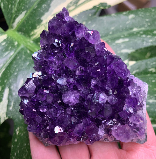 AA Amethyst from Uruguay