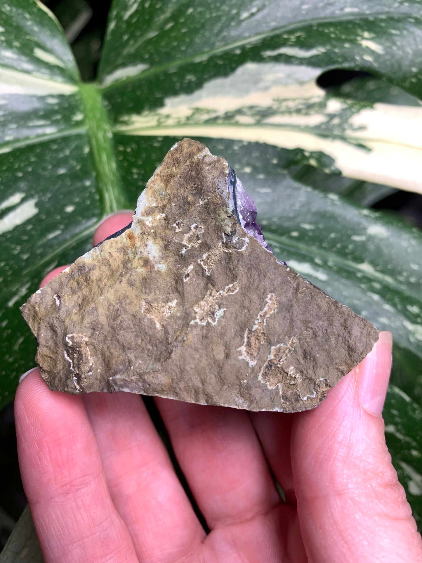 AA Amethyst from Uruguay