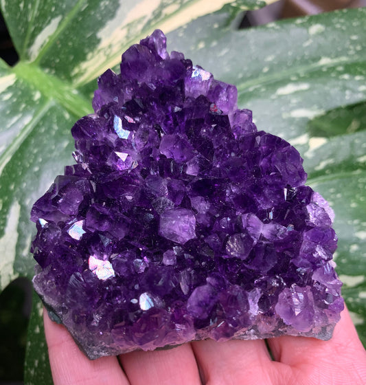 AA Amethyst from Uruguay