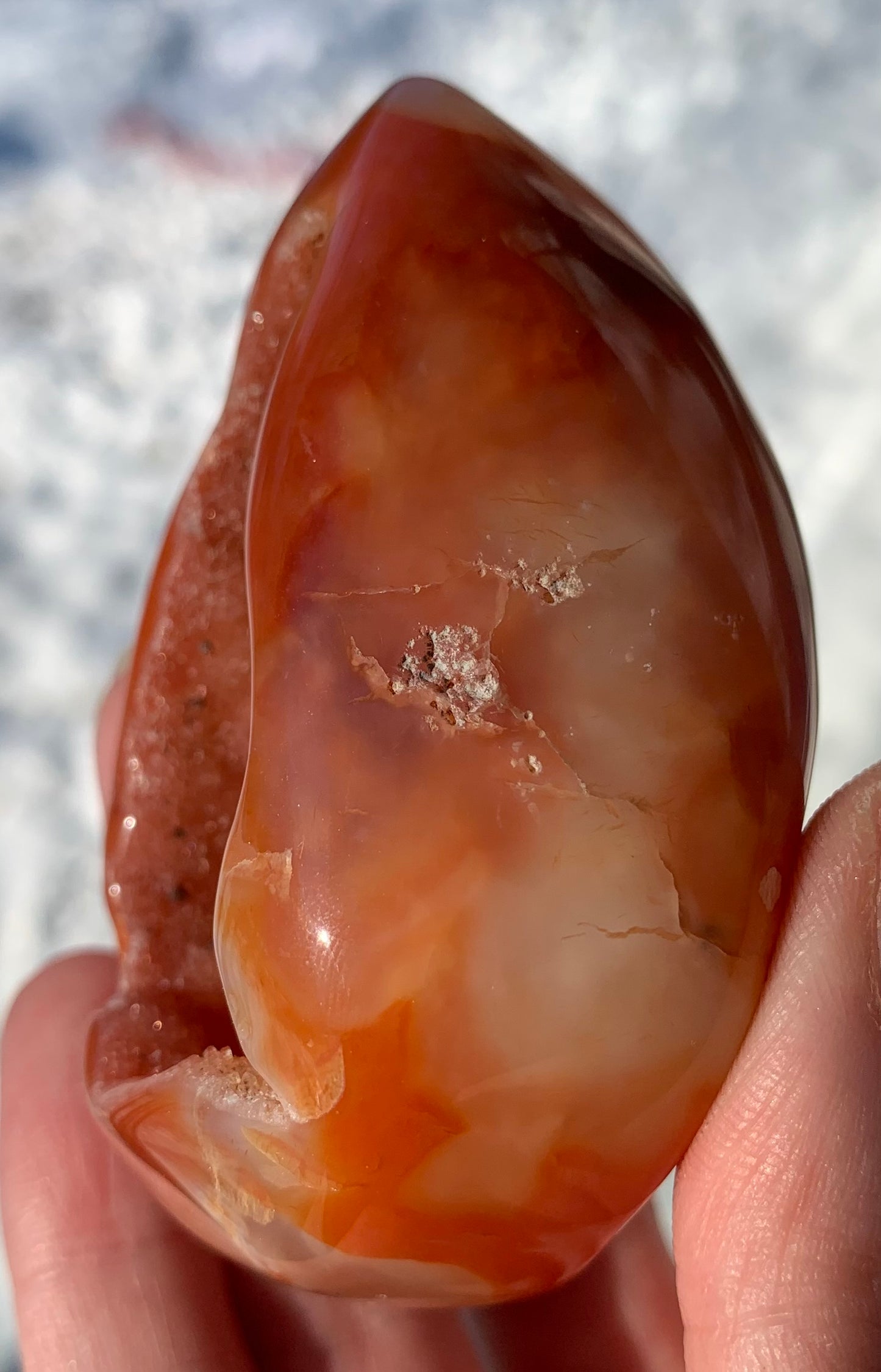 Carnelian Agate druzy geode