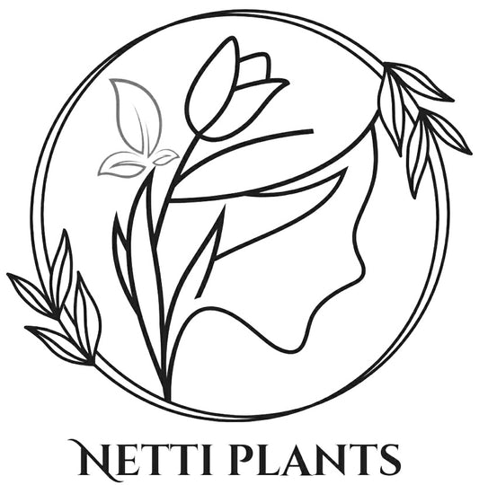 Netti Plants Gift Card