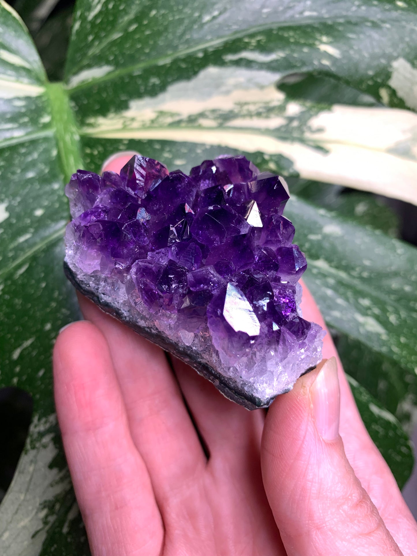 AA Amethyst from Uruguay
