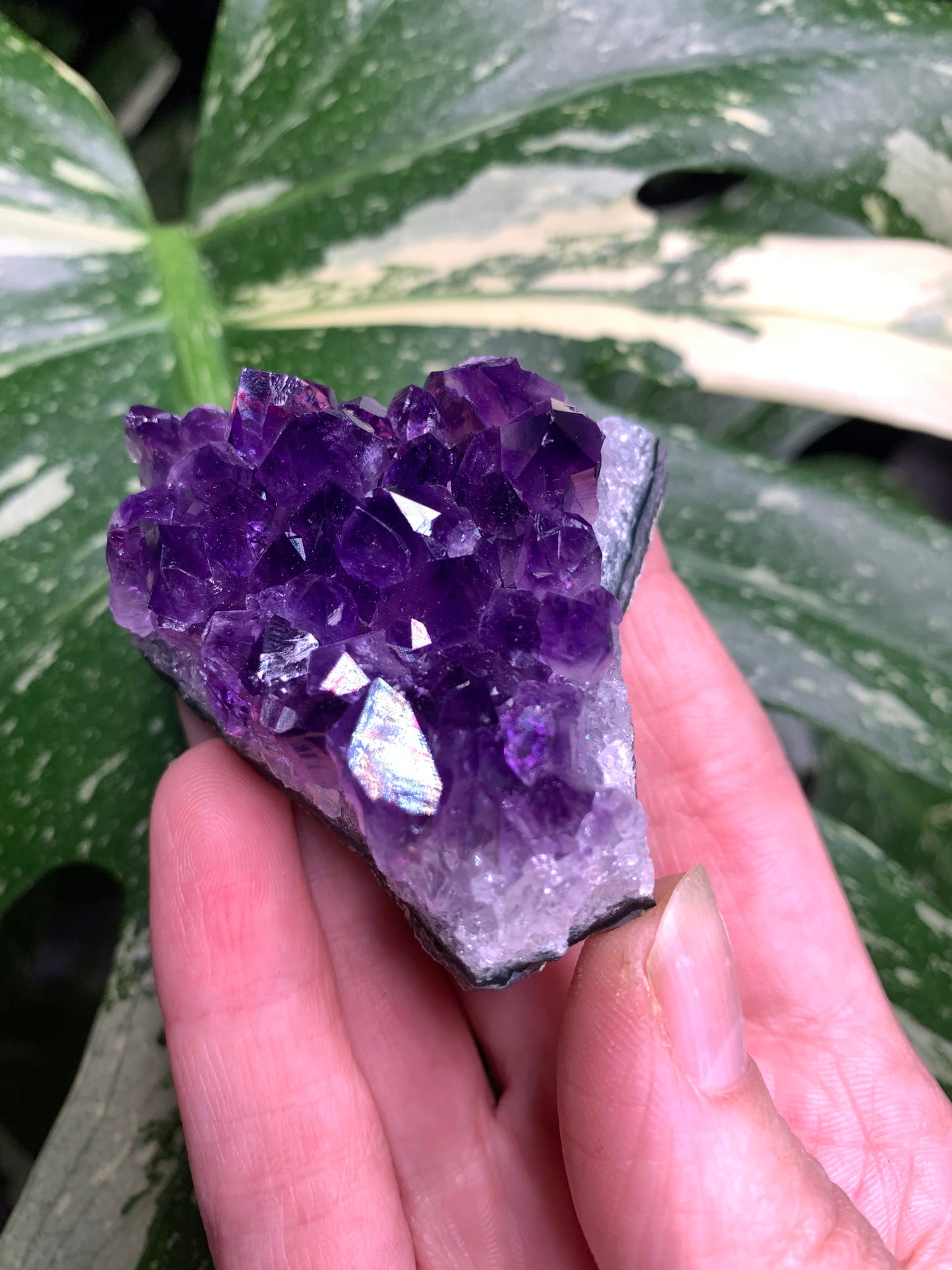 AA Amethyst from Uruguay