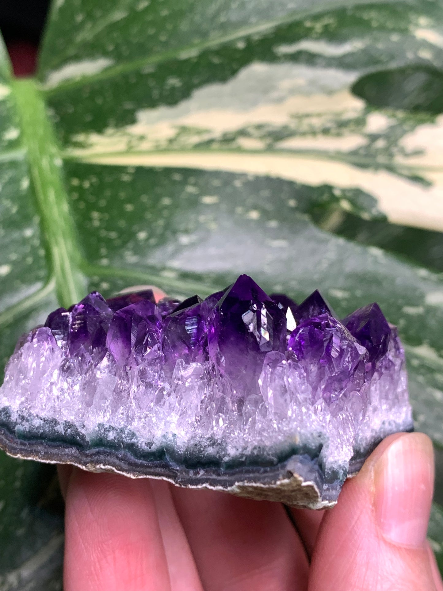 AA Amethyst from Uruguay