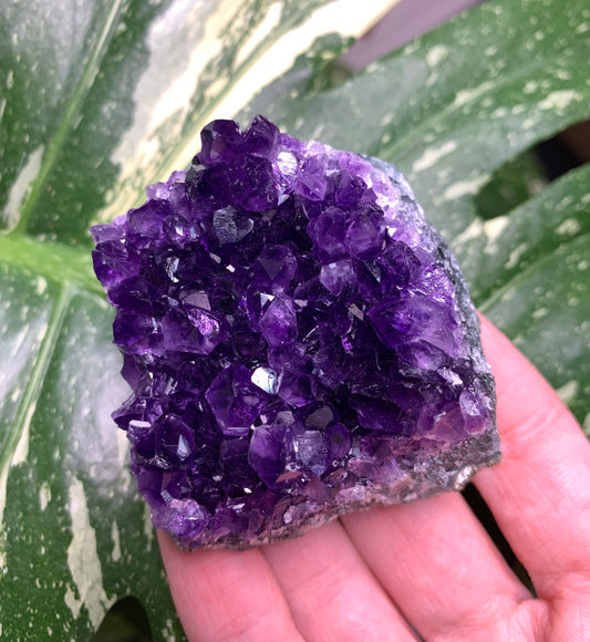 AA Amethyst from Uruguay
