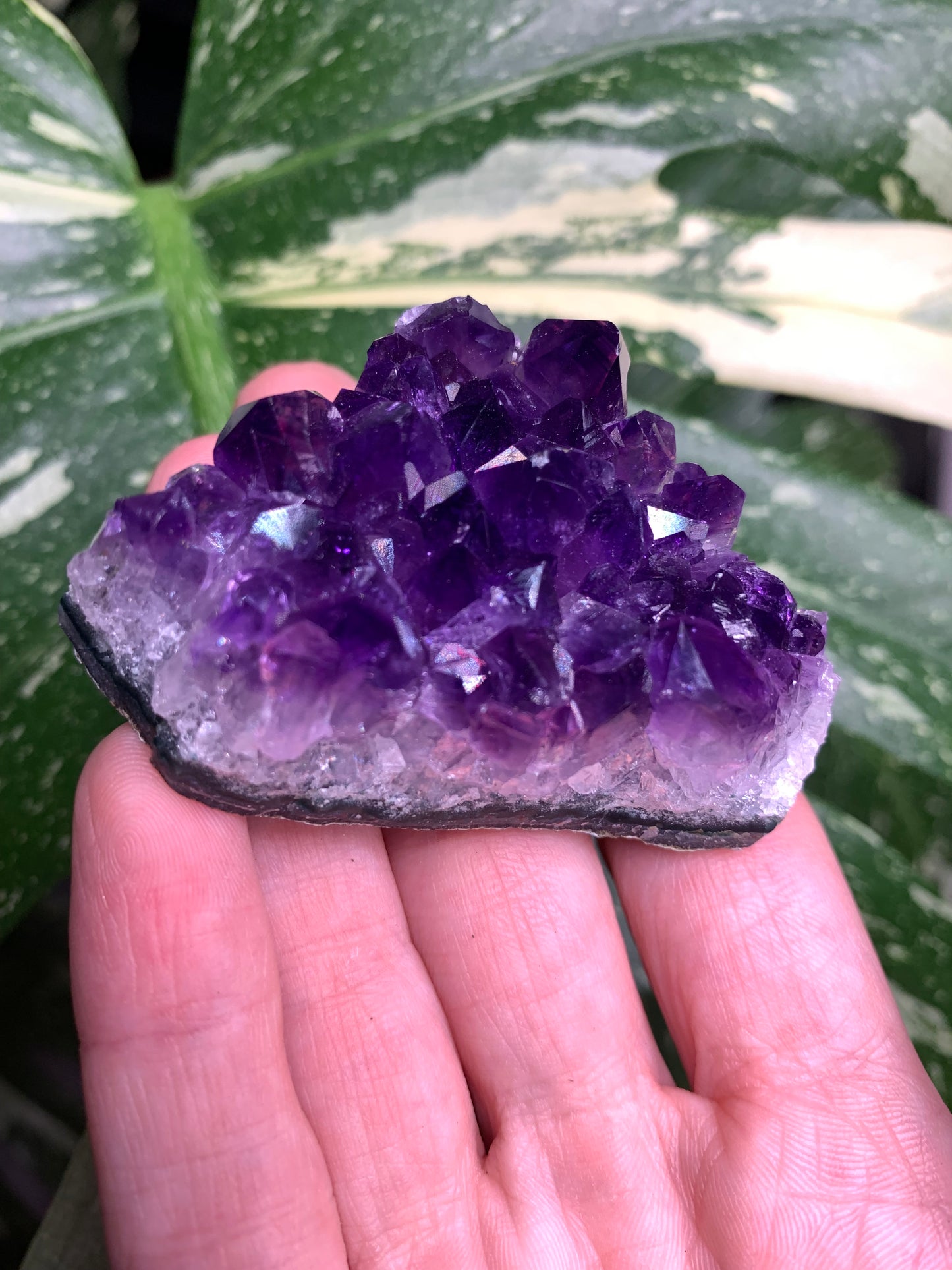 AA Amethyst from Uruguay