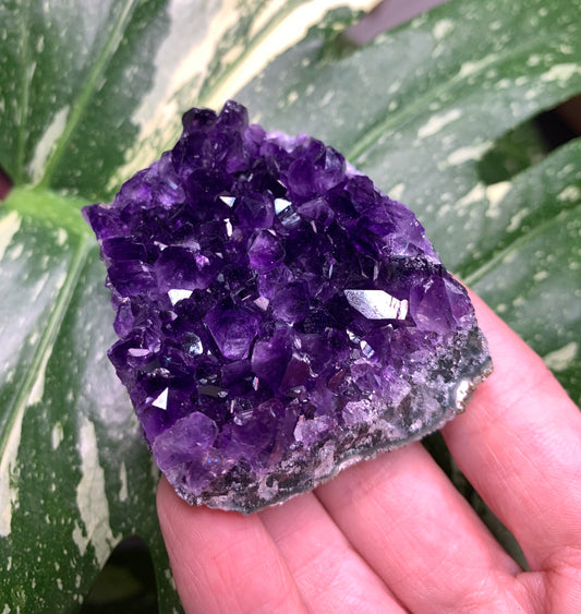 AA Amethyst from Uruguay