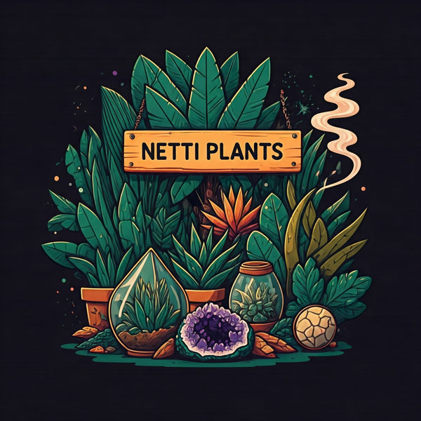 Netti Plants