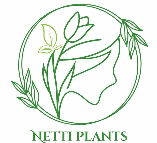 Netti Plants